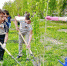 article23089.jpg - Горловская Правда