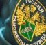 article23371.jpg - Горловская Правда